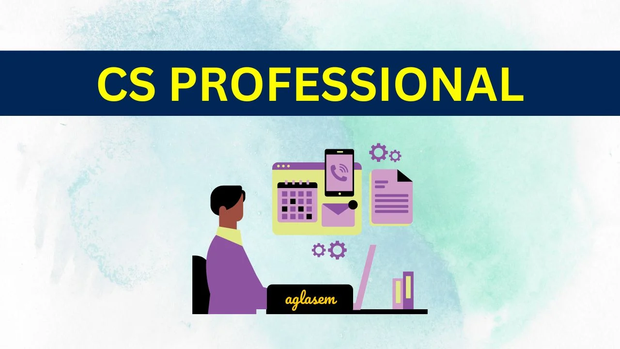 Professional Programme