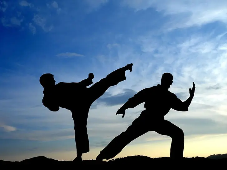 Karate & Self Defence Classes – Education Franchise in India